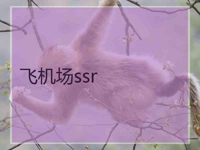飞机场ssr 飞机场ssr