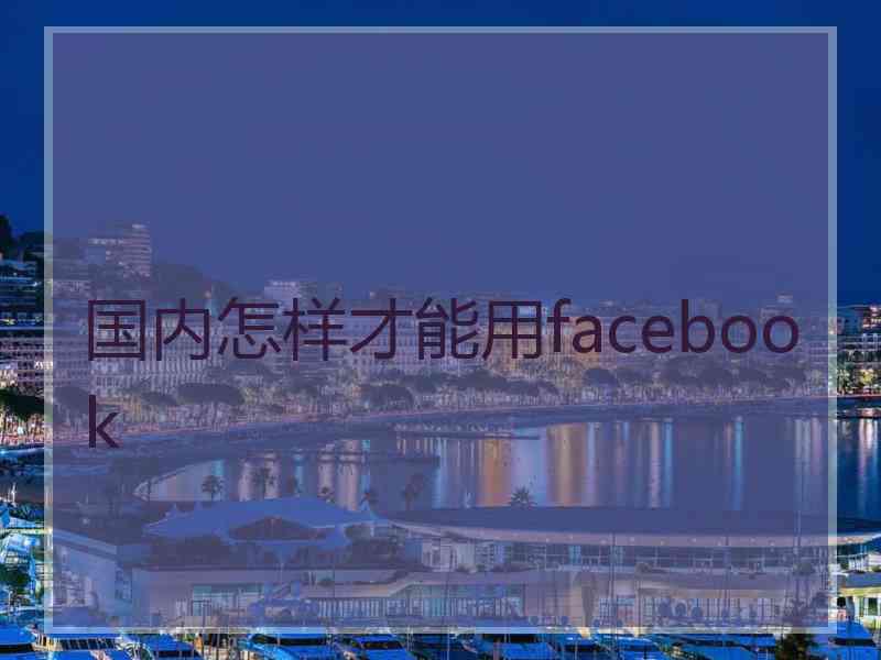 国内怎样才能用facebook 国内怎样才能用facebook