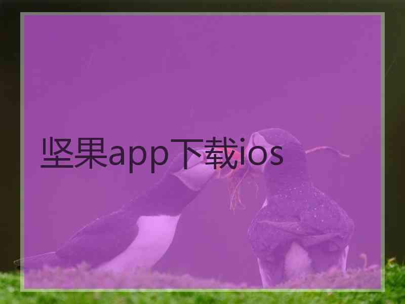 坚果app下载ios 坚果app下载ios