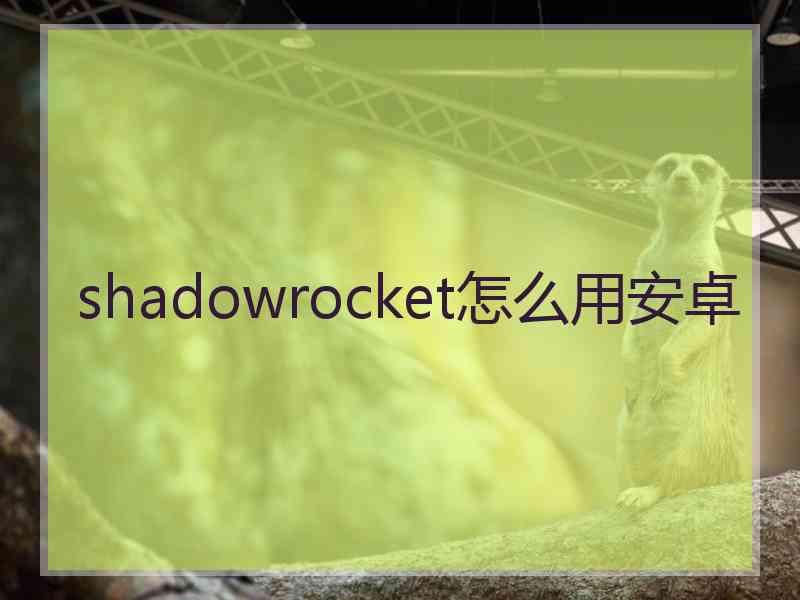 shadowrocket怎么用安卓