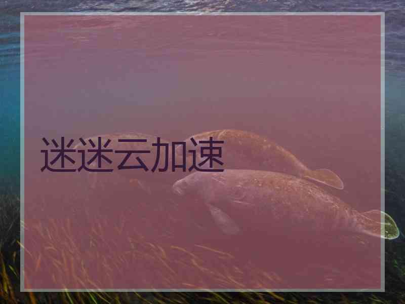 迷迷云加速