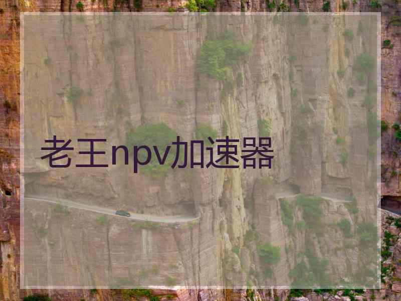 老王npv加速器