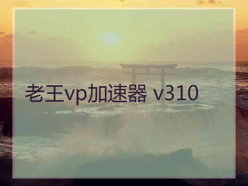 老王vp加速器 v310