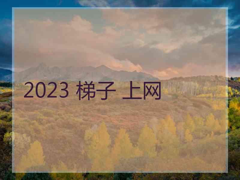 2023 梯子 上网