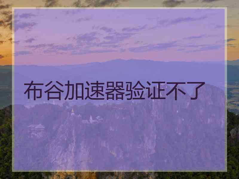 布谷加速器验证不了