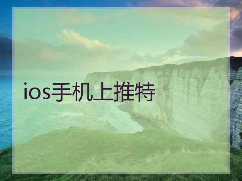 ios手机上推特