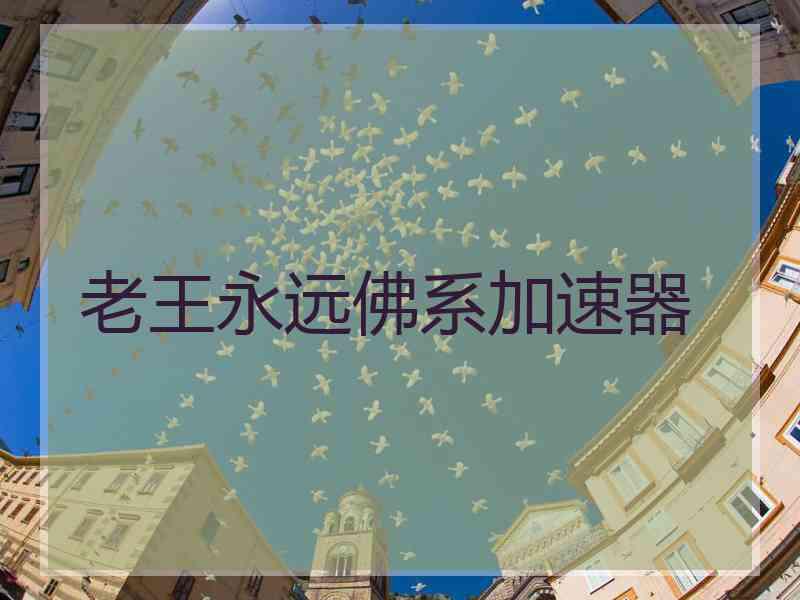 老王永远佛系加速器