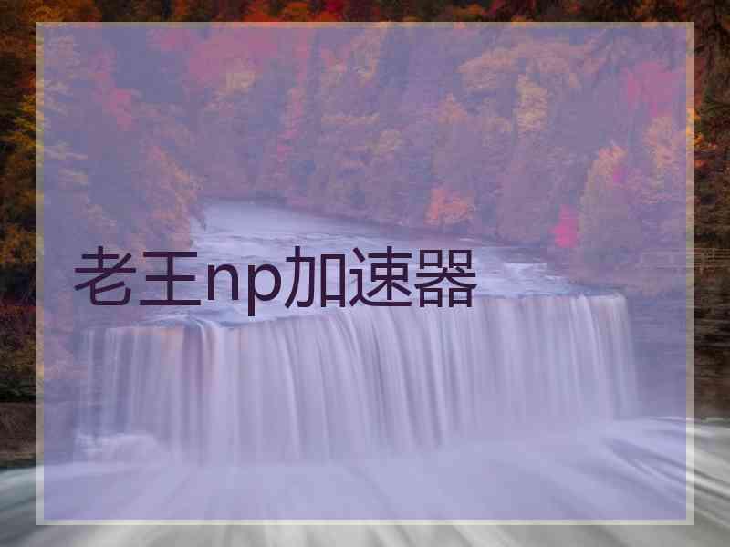 老王np加速器